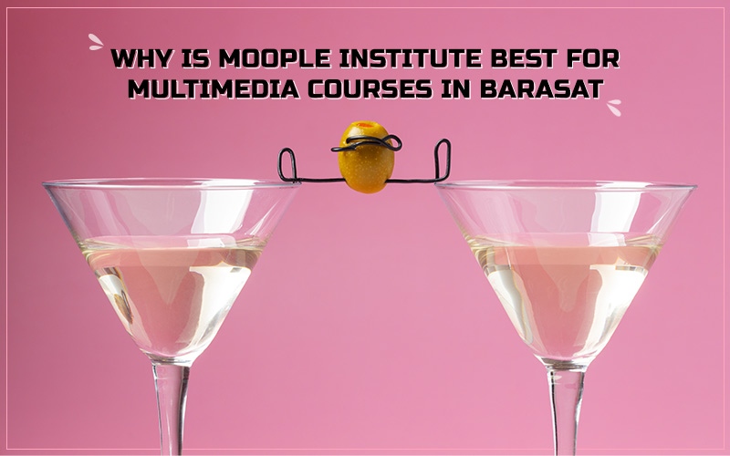 You are currently viewing Why Is Moople Institute Best For Multimedia Courses In Barasat?